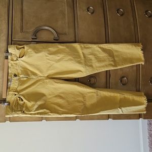 Loft 14 yellow skinny jeans